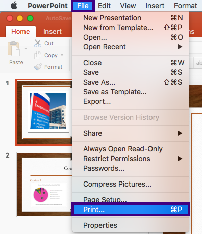 1__Mac__PPT_Program.png