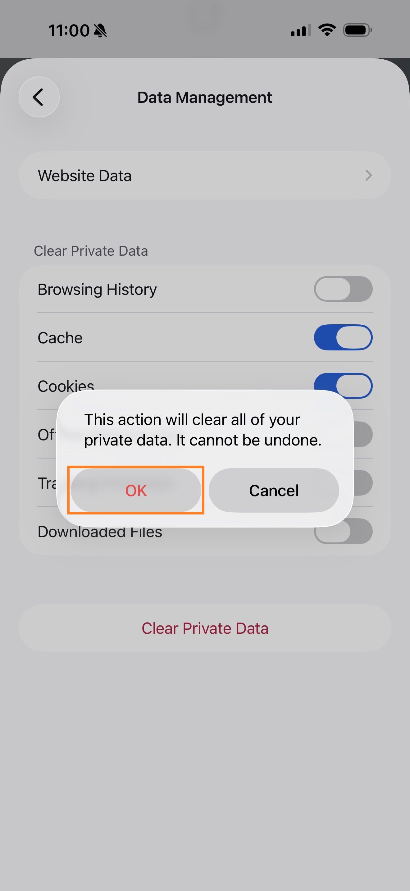 Firefox IOS 5.png